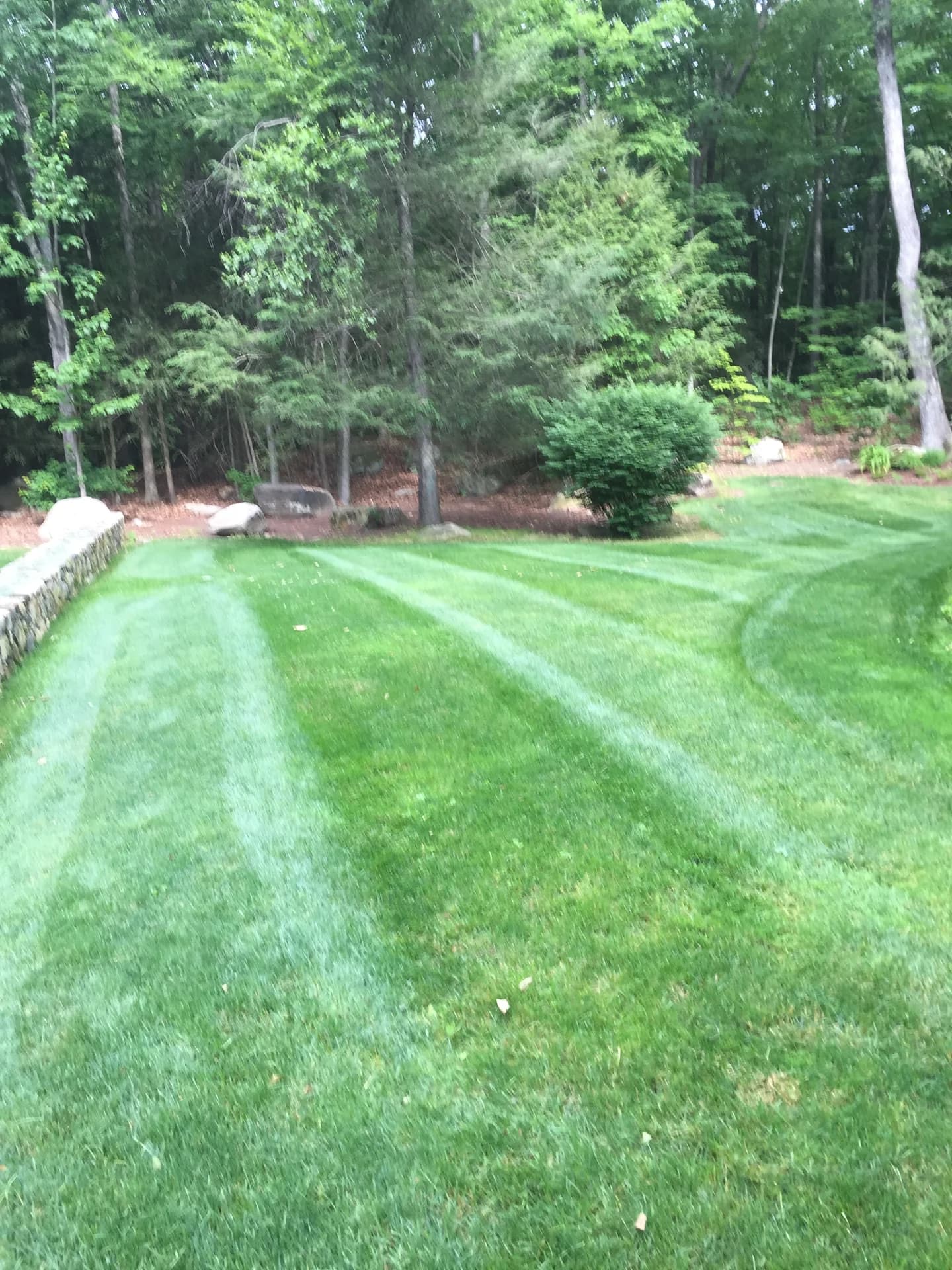 Landscaping project photo