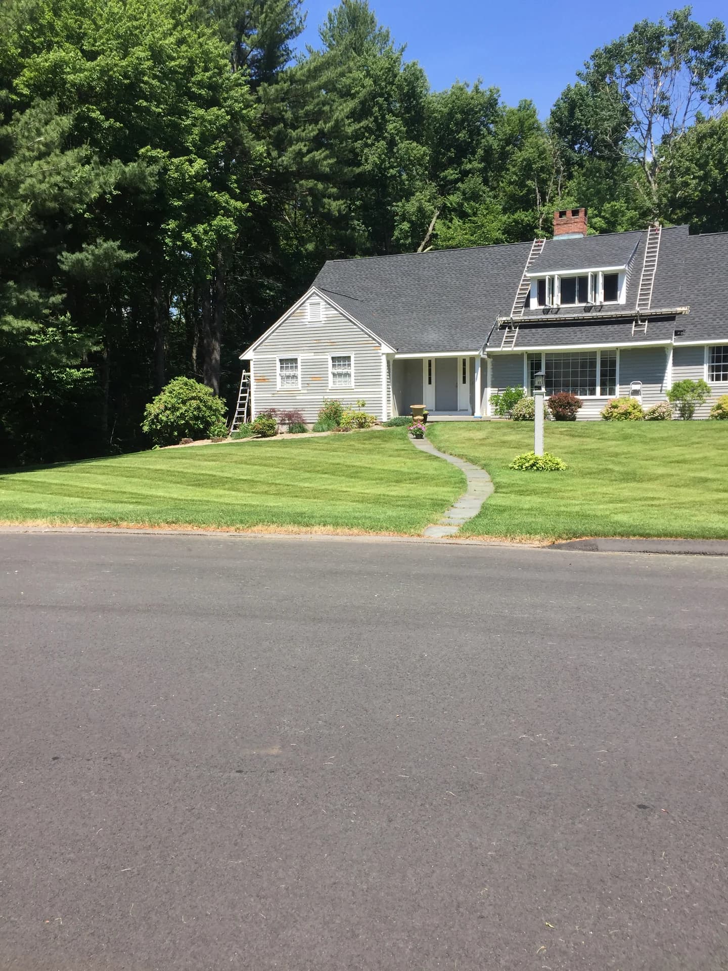 Landscaping project photo