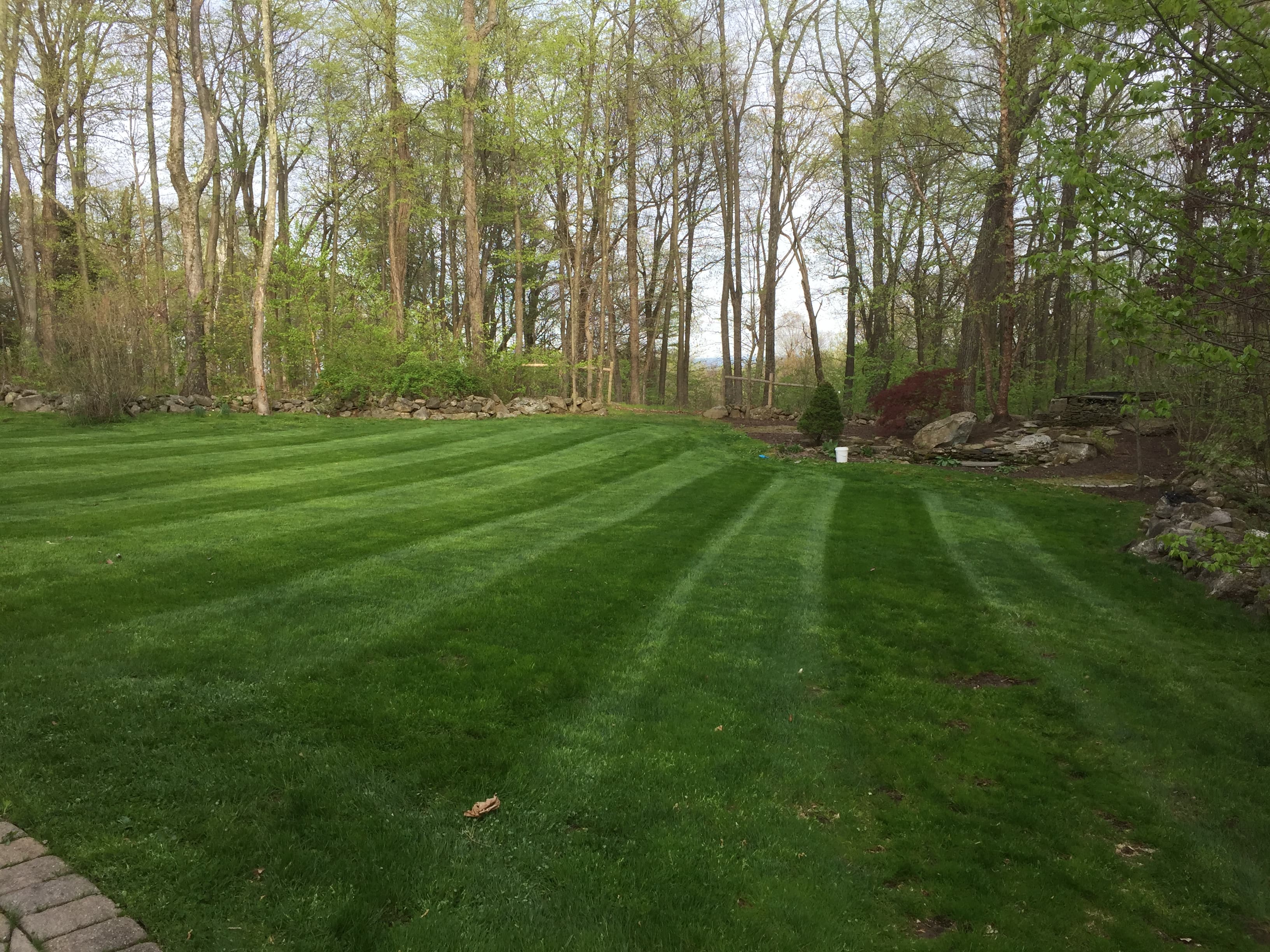 Landscaping project photo