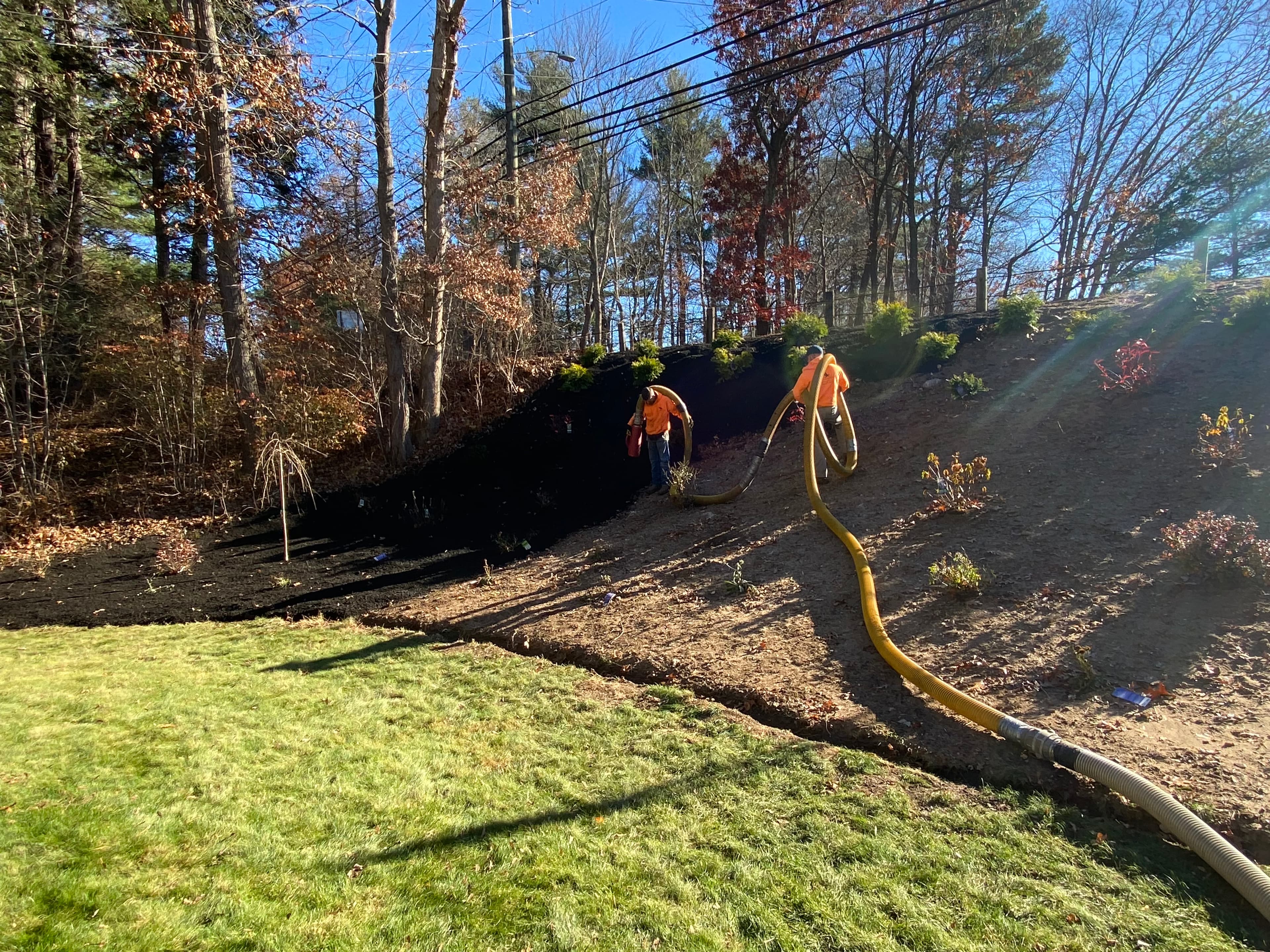 Landscaping project photo