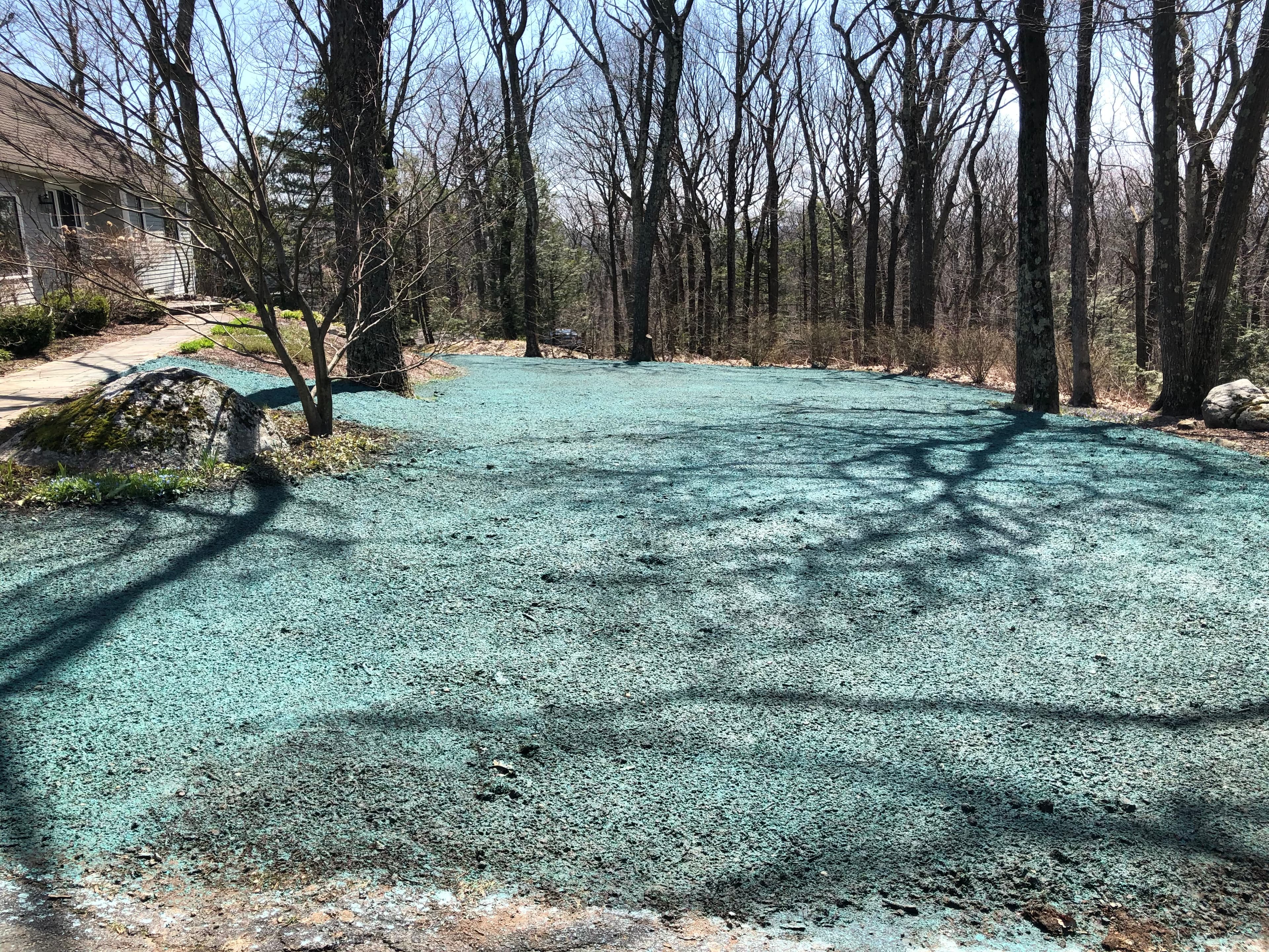 Landscaping project photo