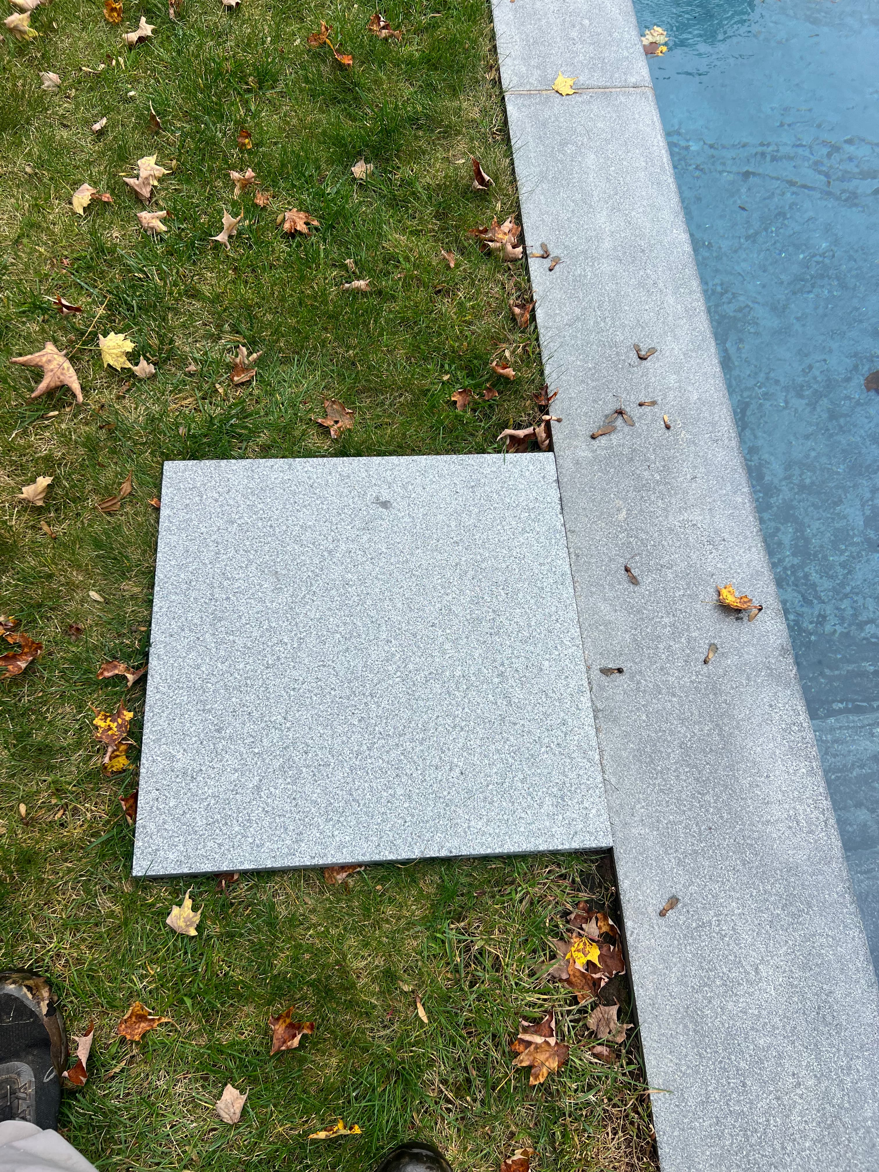 Pools & Poolscapes project photo