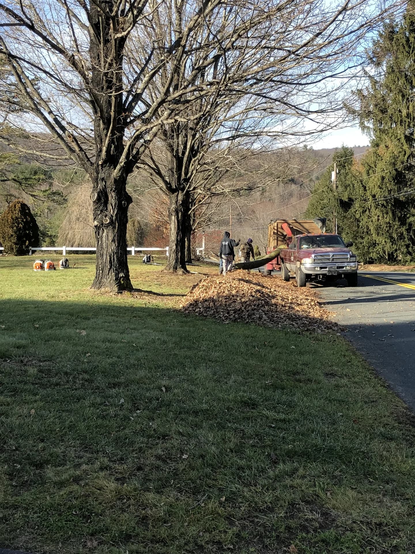 Seasonal Cleanup project photo