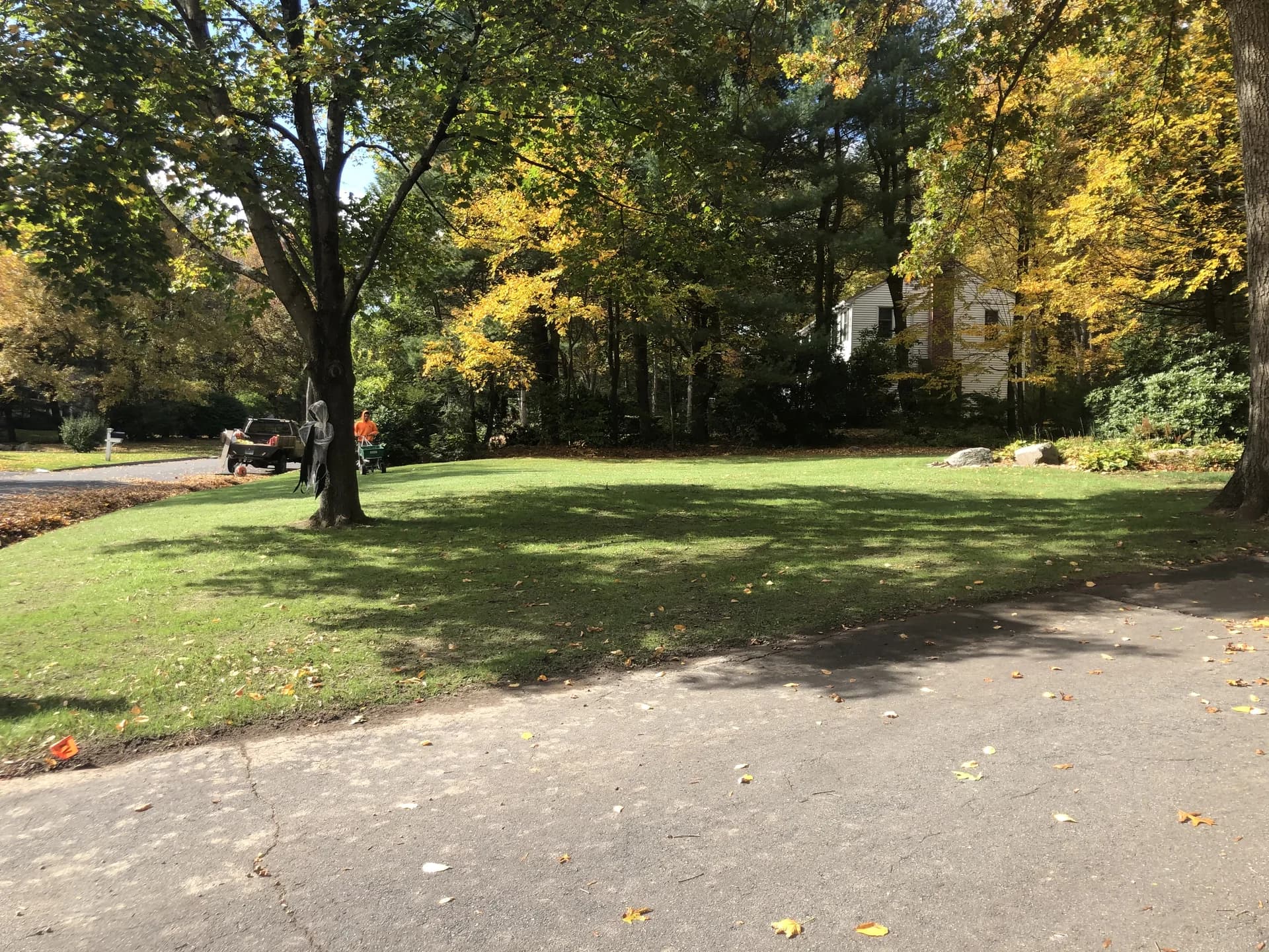 Seasonal Cleanup project photo