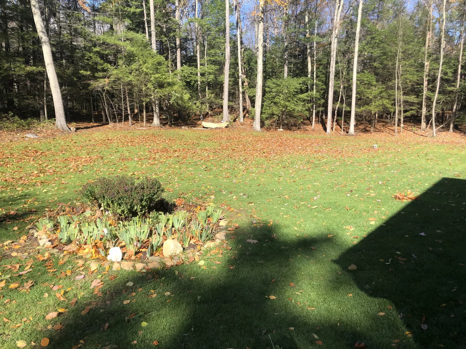 Seasonal Cleanup project photo